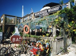 dog friendly key west restaurants