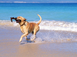 key west beaches