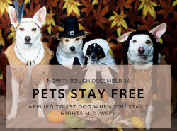 key west hotel pet discount