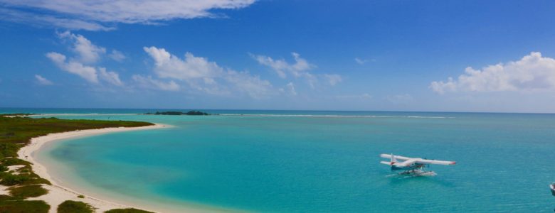 Dry Tortugas Key West